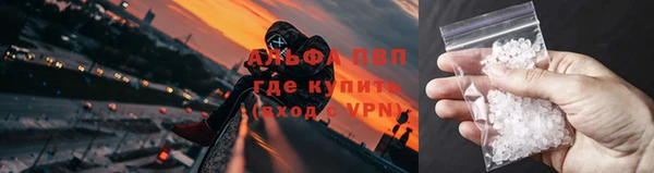 прущая мука Бородино