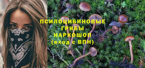 2c-b Бронницы