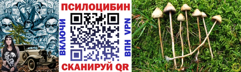 Псилоцибиновые грибы MAGIC MUSHROOMS  цены наркотик  Среднеуральск 