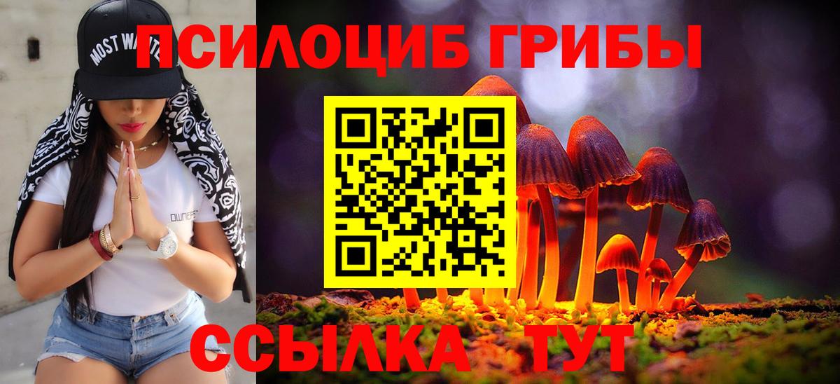 Галлюциногенные грибы Psilocybe Среднеуральск